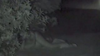 Amateur duo sex in the bushes in a public park at night