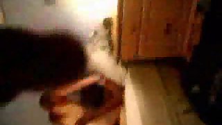 A steaming wifey gets banged really stiff in front of partner by massive schlong